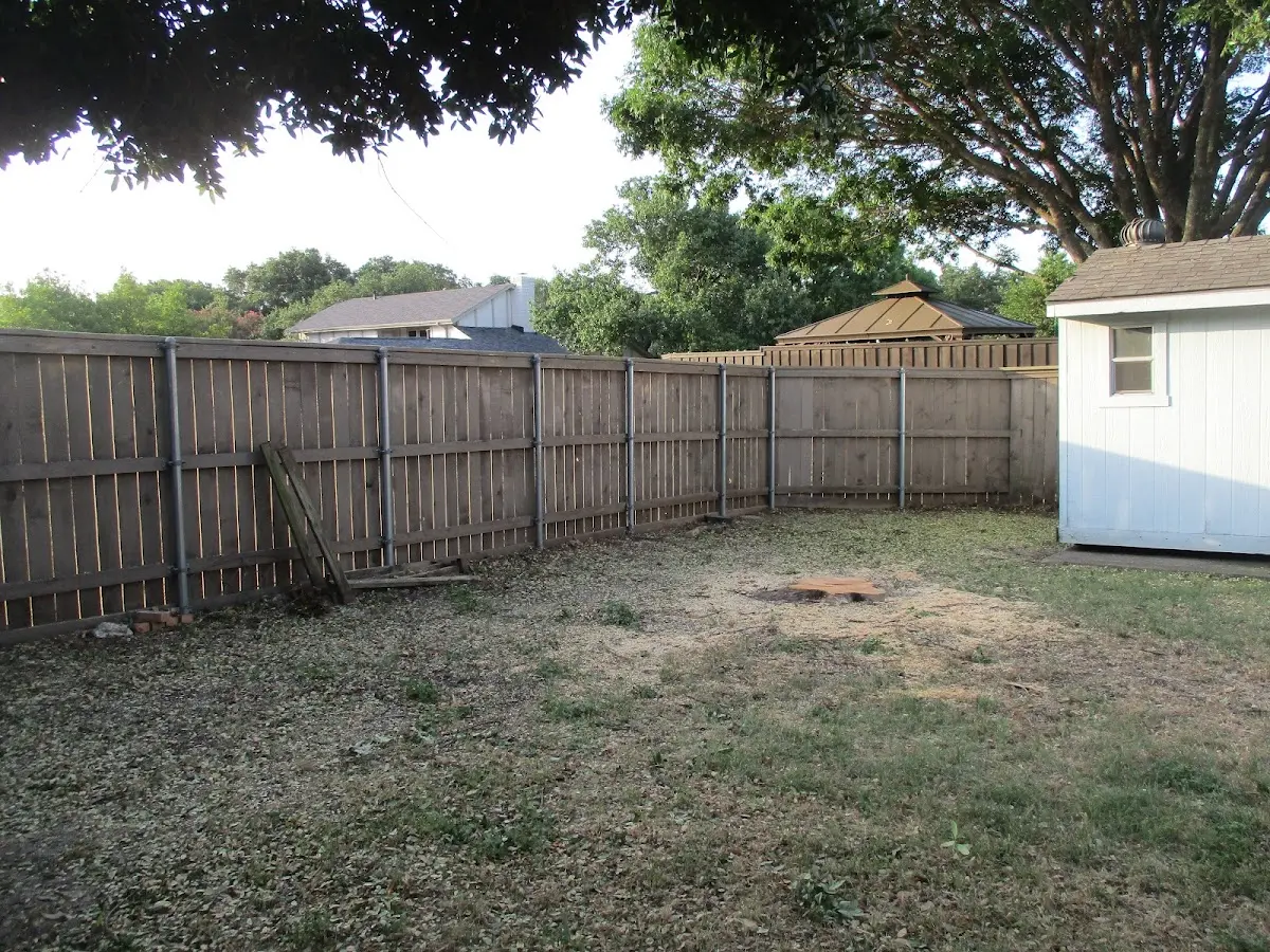 Cleared yard after professional tree removal in Scandia
